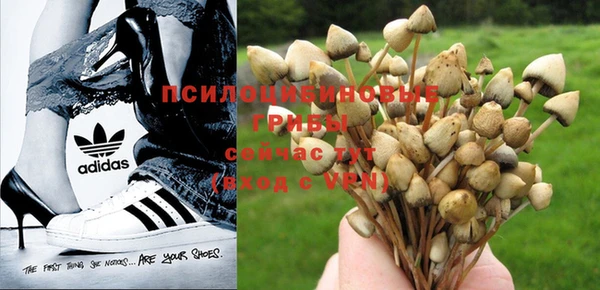 apvp Богородицк