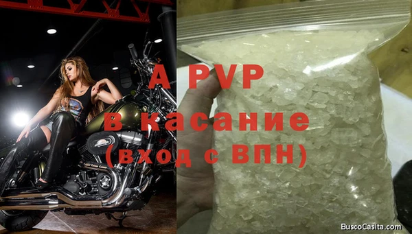 apvp Богородицк