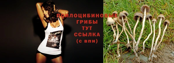 прущий лед Балахна
