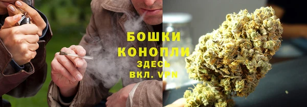 apvp Богородицк